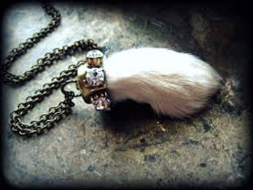Rabbits Feet 