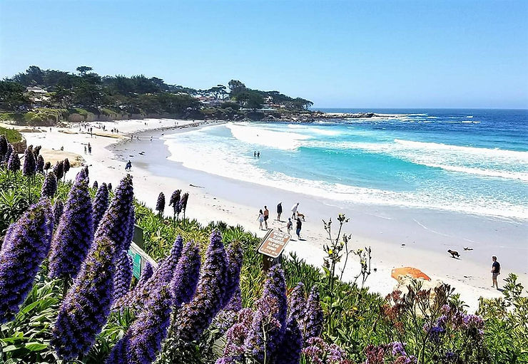 Carmel Beach